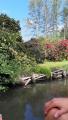 Projekt "Spreewald"