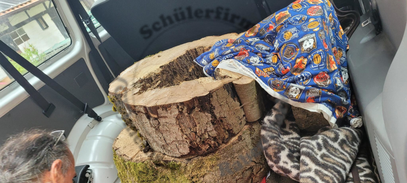 04355_holz_produktion.jpg