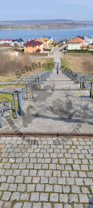 158_20240320_meilensteine_04_ausflug.jpg